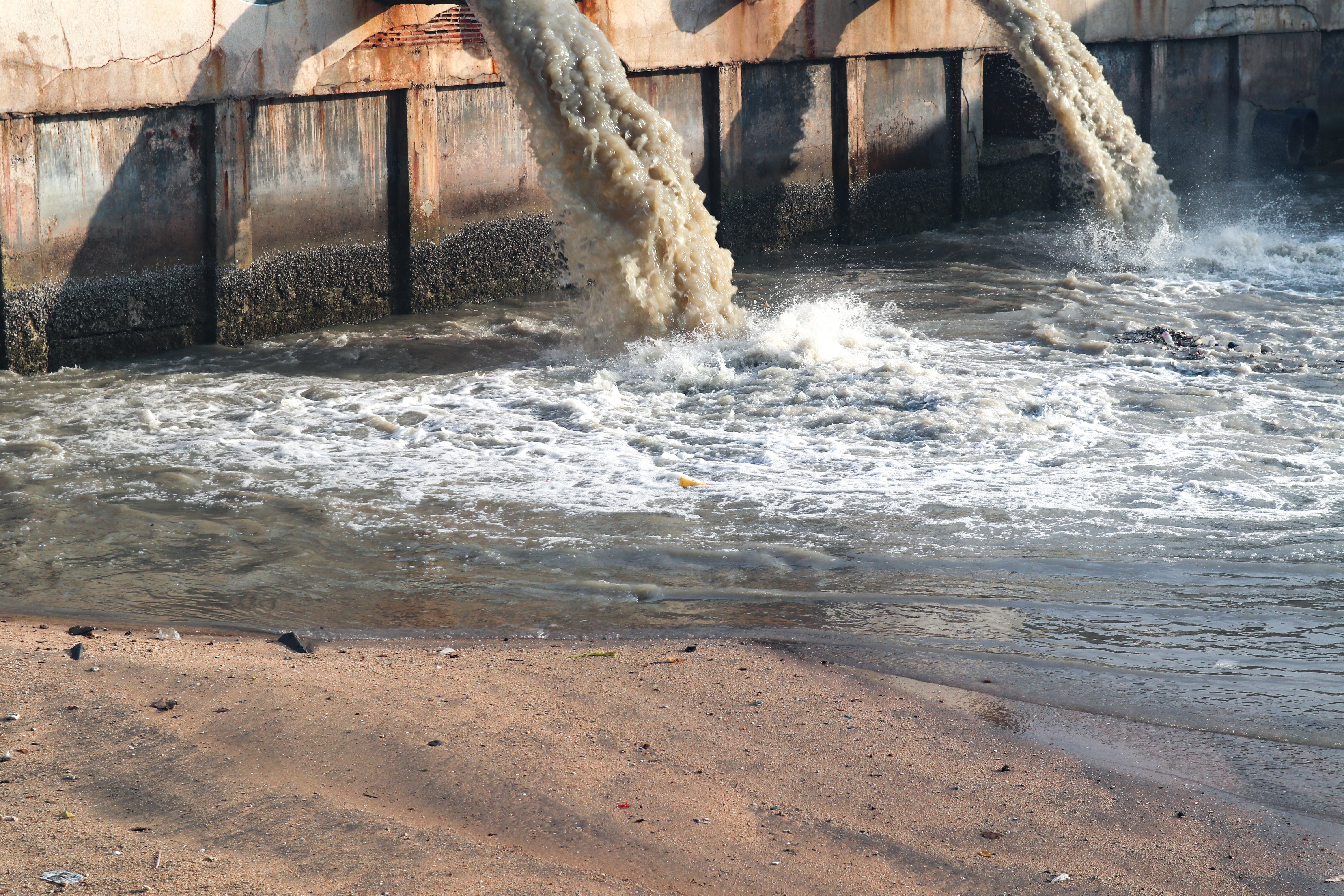 AdobeStock_259633299